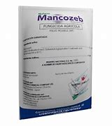 Free Website Template by Free-Template.co